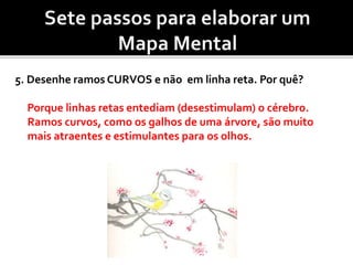 5. Desenhe ramos CURVOS e não em linha reta. Por quê?
Porque linhas retas entediam (desestimulam) o cérebro.
Ramos curvos, como os galhos de uma árvore, são muito
mais atraentes e estimulantes para os olhos.
 