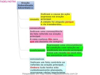 Mapas mentais   português - 30 pgs