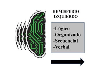 HEMISFERIO
IZQUIERDO

-Lógico
-Organizado
-Secuencial
-Verbal

 