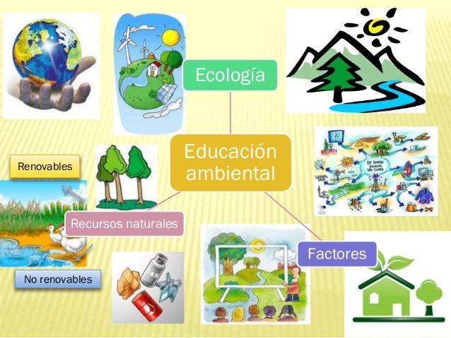 Mapas mentales