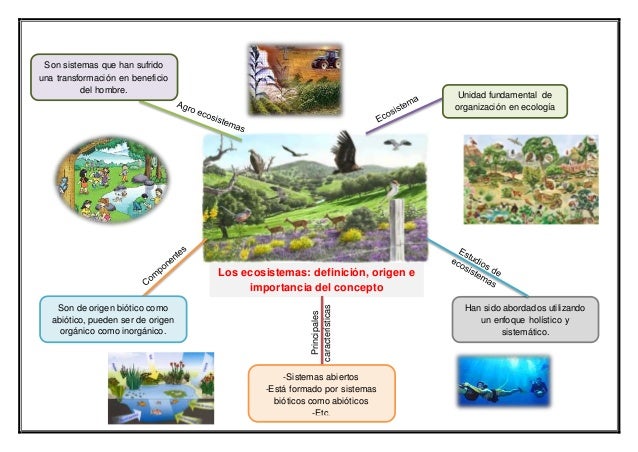Mapas mentales