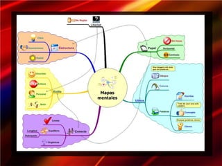 Mapas mentales_IAFJSR