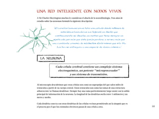 UNA RED INTELIGENTE CON NODOS VIVOS
A Sir Charles Sherrington muchos le consideran el abuelo de la neurofisiología. Tras años de
estudio sobre las neuronas formuló la siguiente descripción:
“El cerebro humano es un telar encantado donde millones de
velocísimas lanzaderas van tejiendo un diseño que
continuamente se disuelve, un motivo que tiene siempre un
significado, por más que éste jamás perdure, y no sea más que
una cambiante armonía de subdiseños. Es lo mismo que si la Vía
Láctea se entregara a una especie de danza cósmica”.
Al microscopio descubrimos que estas células son como un superpulpo del que salen miles de
tentáculos a partir de su cuerpo central. Estos tentáculos son como las ramas de una estructura
arborescente (se llaman dendritas). Siempre hay una rama particularmente larga (axón) con la salida
principal de información de la neurona. La longitud de las dendritas oscila entre 1 milímetro y un
metro y medio.
Cada dendrita conecta con otras dendritas de las células vecinas permitiendo así la sinapsis que es
el proceso por el que los estímulos eléctricos pasan de una célula a otra. 10
LA NEURONA
Cada célula cerebral contiene un complejo sistema
electroquímico, un potente “microprocesador”
y un sistema de transmisión.
 