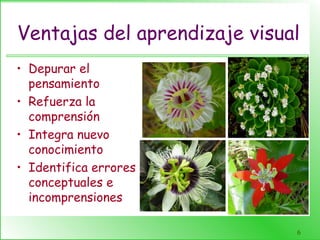 6
Ventajas del aprendizaje visual
• Depurar el
pensamiento
• Refuerza la
comprensión
• Integra nuevo
conocimiento
• Identifica errores
conceptuales e
incomprensiones
 