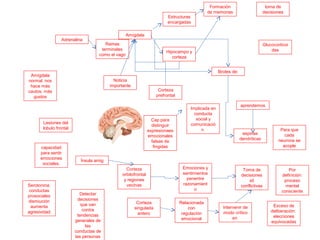Adrenalina
Ramas
terminales
como el vago
Formación
de memorias
Hipocampo y
corteza
Glucocorticoi
des
espinas
dendríticas
aprendemos
Brotes de:
Para que
cada
neurona se
acople
Implicada en
conducta
social y
comunicació
n
Lesiones del
lobulo frontal
Corteza
orbitofrontal
y regiones
vecinas
Emociones y
sentimientos
penentre
razonamient
o
Toma de
decisiones
sit
conflictivas
toma de
decisiones
Amígdala
Estructuras
encargadas
Noticia
importante
Cap para
distinguir
expresionaes
emocionales
falsas de
fingidas
Corteza
prefrontal
capacidad
para sentir
emociones
sociales.
Ínsula amig
Corteza
singulada
antero
Detectar
decisiones
que van
contra
tendencias
generales de
las
conductas de
las personas
Relacionada
con
regulación
emocional
Intervenir de
modo crítico
en
Serotonina:
conductas
prosociales
dismiución
aumenta
agresividad
Amígdala
normal: nos
hace más
cautos, más
gustos
Por
definición:
proceso
mental
consciente
Exceso de
deliberación:
elecciones
equivocadas
 