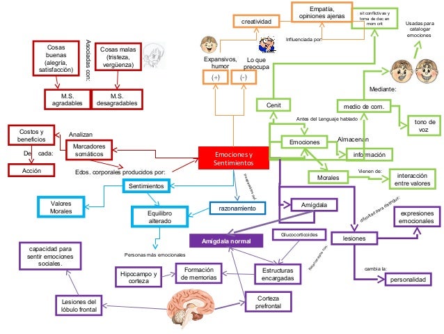 mapas mentales instinto y emociones 2