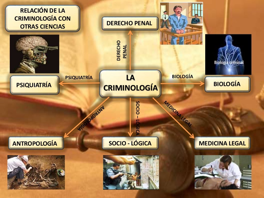Mapas mentales la criminilogía (relación y diferencias con otras cien… Mapas mentales la criminilogía (relación y diferencias con otras cien…