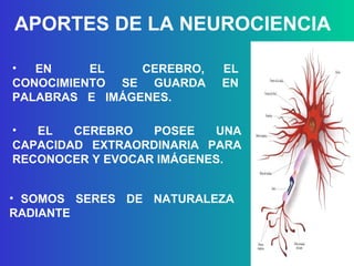 APORTES DE LA NEUROCIENCIA EN  EL  CEREBRO, EL CONOCIMIENTO SE GUARDA EN PALABRAS  E  IMÁGENES. EL CEREBRO POSEE UNA CAPACIDAD EXTRAORDINARIA PARA RECONOCER Y EVOCAR IMÁGENES. SOMOS  SERES  DE  NATURALEZA  RADIANTE 