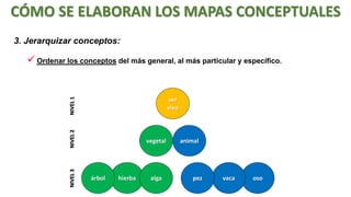 CÓMO SE ELABORAN LOS MAPAS CONCEPTUALES
3. Jerarquizar conceptos:

NIVEL 1

 Ordenar los conceptos del más general, al más particular y específico.

NIVEL 3

NIVEL 2

ser
vivo

vegetal

árbol

hierba

alga

animal

pez

vaca

oso

 