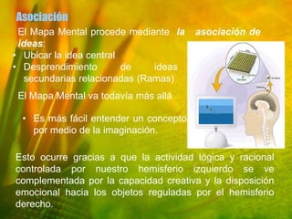 Asociación
 El Mapa Mental procede mediante la     asociación de
 ideas:
• Ubicar la idea central
• Desprendimiento        de    ideas
   secundarias relacionadas (Ramas)
 El Mapa Mental va todavía más allá

  • Es más fácil entender un concepto
    por medio de la imaginación.

Esto ocurre gracias a que la actividad lógica y racional
controlada por nuestro hemisferio izquierdo se ve
complementada por la capacidad creativa y la disposición
emocional hacia los objetos reguladas por el hemisferio
derecho.
 