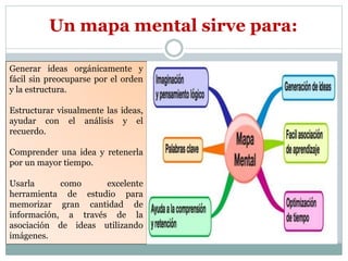 Generar ideas orgánicamente y
fácil sin preocuparse por el orden
y la estructura.
Estructurar visualmente las ideas,
ayudar con el análisis y el
recuerdo.
Comprender una idea y retenerla
por un mayor tiempo.
Usarla como excelente
herramienta de estudio para
memorizar gran cantidad de
información, a través de la
asociación de ideas utilizando
imágenes.
Un mapa mental sirve para:
 