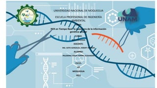 TEMA:
PCR en Tiempo Real: la nueva era de la información
genética celular
CURSO:
BIOTECNOLOGÍA
DOCENTE:
ING. SOTO GONZALES, HEBERT HERNAN
ALUMNO:
PALOMINO APAZA JENRRY ALEXANDER
CICLO:
VII
MOQUEGUA
2021
UNIVERSIDAD NACIONAL DE MOQUEGUA
ESCUELA PROFESIONAL DE INGENIERÍA
AMBIENTAL
 
