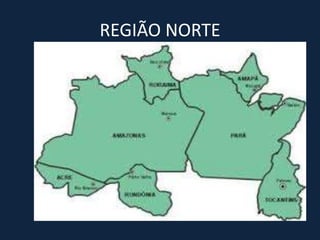 REGIÃO NORTE
 