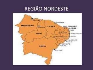 REGIÃO NORDESTE
 