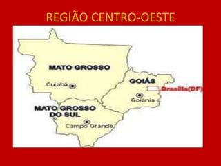 REGIÃO CENTRO-OESTE
 