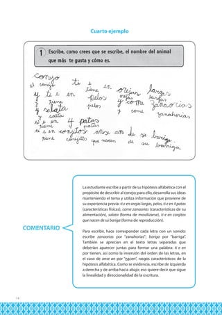 Cuarto ejemplo

La estudiante escribe a partir de su hipótesis alfabética con el
propósito de describir al conejo; para ello, desarrolla sus ideas
manteniendo el tema y utiliza información que proviene de
su experiencia previa: ti e en orejas largas, pelos, ti e en 4 patas
(características físicas), come zanaorias (características de su
alimentación), salata (forma de movilizarse), ti e en conjitos
que nacen de su bariga (forma de reproducción).

COMENTARIO

14

Para escribir, hace corresponder cada letra con un sonido:
escribe zanaorias por “zanahorias”; bariga por “barriga”.
También se aprecian en el texto letras separadas que
deberían aparecer juntas para formar una palabra: ti e en
por tienen, así como la inversión del orden de las letras, en
el caso de anse an por “nacen”, rasgos característicos de la
hipótesis alfabética. Como se evidencia, escribe de izquierda
a derecha y de arriba hacia abajo; eso quiere decir que sigue
la linealidad y direccionalidad de la escritura.

 