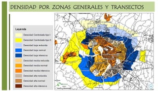DENSIDAD POR ZONAS GENERALES Y TRANSECTOS
 