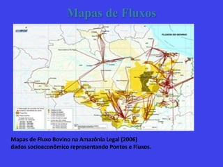 Mapas de Fluxos
Mapas de Fluxo Bovino na Amazônia Legal (2006)
dados socioeconômico representando Pontos e Fluxos.
 