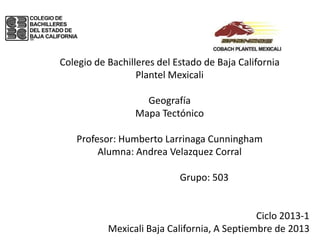 Colegio de Bachilleres del Estado de Baja California
Plantel Mexicali
Geografía
Mapa Tectónico
Profesor: Humberto Larrinaga Cunningham
Alumna: Andrea Velazquez Corral
Grupo: 503
Ciclo 2013-1
Mexicali Baja California, A Septiembre de 2013
 