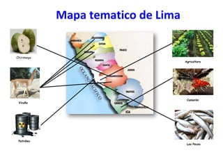 Mapa tematico de Lima

Chirimoya

Vicuña

Petróleo

Agricultura

Camarón

Los Peces

 