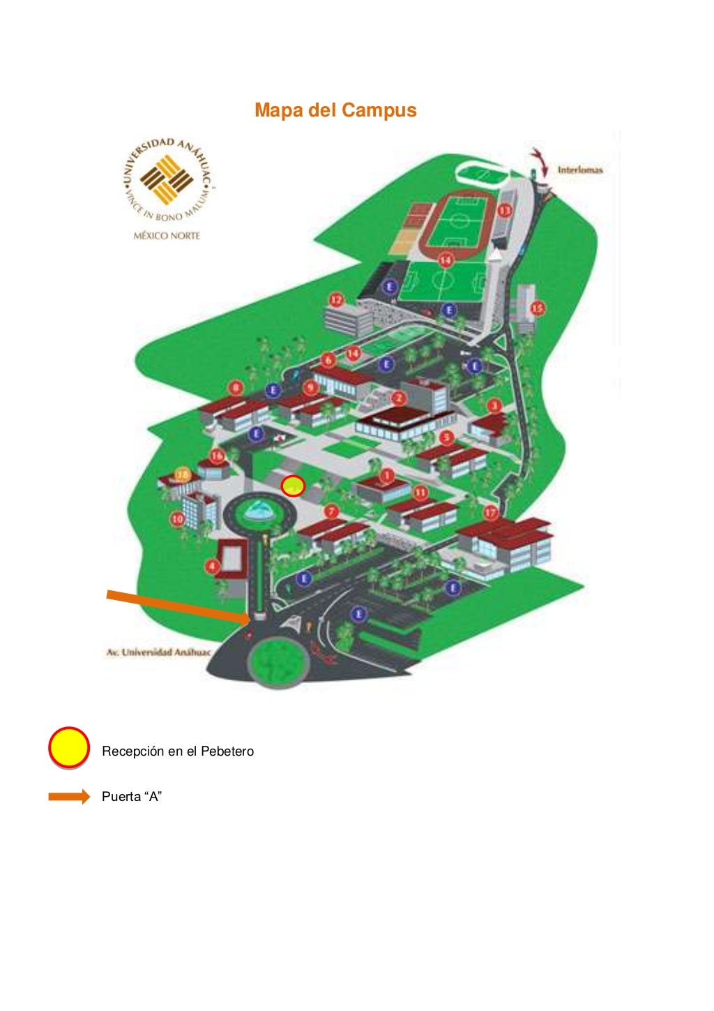 Mapa universidad Anáhuac