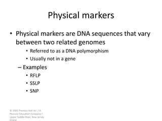 © 2005 Prentice Hall Inc. / A
Pearson Education Company /
Upper Saddle River, New Jersey
Physical markers
• Physical markers are DNA sequences that vary
between two related genomes
• Referred to as a DNA polymorphism
• Usually not in a gene
– Examples
• RFLP
• SSLP
• SNP
 