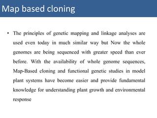 • The principles of genetic mapping and linkage analyses are
used even today in much similar way but Now the whole
genomes are being sequenced with greater speed than ever
before. With the availability of whole genome sequences,
Map-Based cloning and functional genetic studies in model
plant systems have become easier and provide fundamental
knowledge for understanding plant growth and environmental
response
Map based cloning
 
