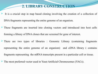 2. LIBRARY CONSTRUCTION
 It is a crucial step in map based cloning involving the creation of a collection of
DNA fragments representing the entire genome of an organism.
 These fragments are inserted into cloning vectors and introduced into host cells
forming a library of DNA clones that are screened for gene of interest.
 There are two types of libraries : Genomic Library (containing fragments
representing the entire genome of an organism) and cDNA library ( contains
fragments representing the mRNA transcripts present in a particular cell or tissue.
 The most preferred vector used in Yeast Artificial Chromosomes (YACs).
 