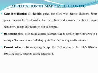 APPLICATION OF MAP BASED CLONING
 Gene identification :It identifies genes associated with genetic disorders. Some
genes responsible for desirable traits in plants and animals , such as disease
resistance , quality characteristics can be isolated.
 Human genetics : Map based cloning has been used to identify genes involved in a
variety of human diseases including cystic fibrosis, Huntington diseases etc.
 Forensic science : By comparing the specific DNA regions in the child’s DNA to
DNA of parents, paternity can be determined.
 
