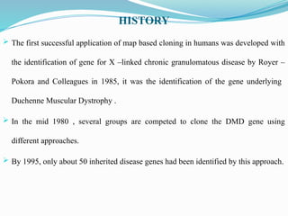 HISTORY
 The first successful application of map based cloning in humans was developed with
the identification of gene for X –linked chronic granulomatous disease by Royer –
Pokora and Colleagues in 1985, it was the identification of the gene underlying
Duchenne Muscular Dystrophy .
 In the mid 1980 , several groups are competed to clone the DMD gene using
different approaches.
 By 1995, only about 50 inherited disease genes had been identified by this approach.
 