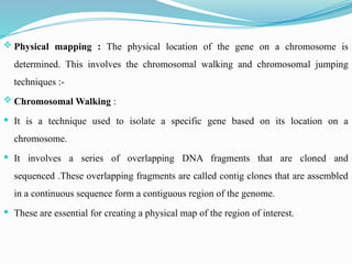  Physical mapping : The physical location of the gene on a chromosome is
determined. This involves the chromosomal walking and chromosomal jumping
techniques :-
 Chromosomal Walking :
 It is a technique used to isolate a specific gene based on its location on a
chromosome.
 It involves a series of overlapping DNA fragments that are cloned and
sequenced .These overlapping fragments are called contig clones that are assembled
in a continuous sequence form a contiguous region of the genome.
 These are essential for creating a physical map of the region of interest.
 