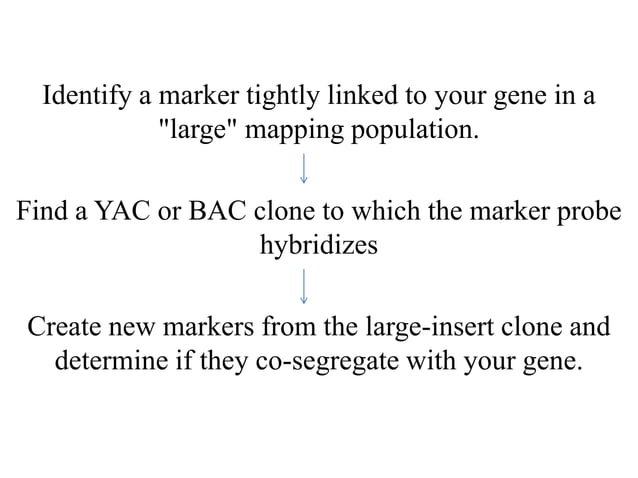 Map based cloning | PPTX | Genetics | Science