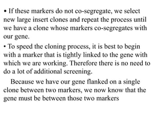 Map based cloning | PPTX