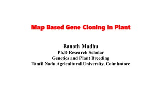 Map Based Gene Cloning In Plant
Banoth Madhu
Ph.D Research Scholar
Genetics and Plant Breeding
Tamil Nadu Agricultural University, Coimbatore
 