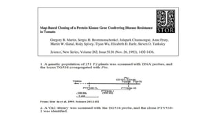 Map based gene cloning in plant.pptx