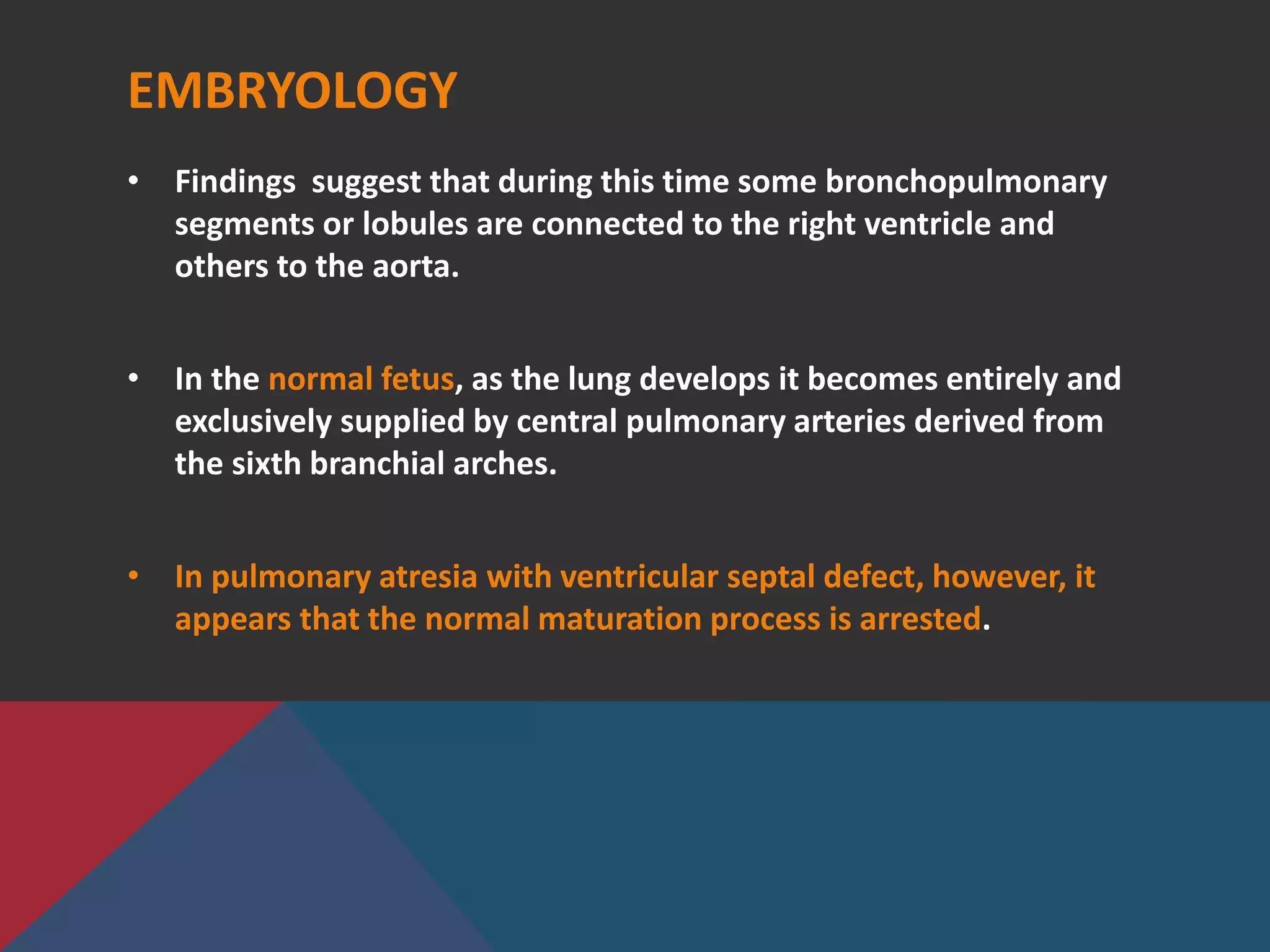 EMBRYOLOGY
• Findings suggest that during this time some bronchopulmonary
segments or lobules are connected to the right ventricle and
others to the aorta.
• In the normal fetus, as the lung develops it becomes entirely and
exclusively supplied by central pulmonary arteries derived from
the sixth branchial arches.
• In pulmonary atresia with ventricular septal defect, however, it
appears that the normal maturation process is arrested.
 