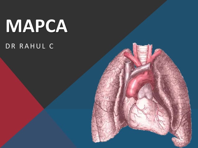 Mapca 1 | PPTX | Lung and Respiratory Health | Diseases and Conditions