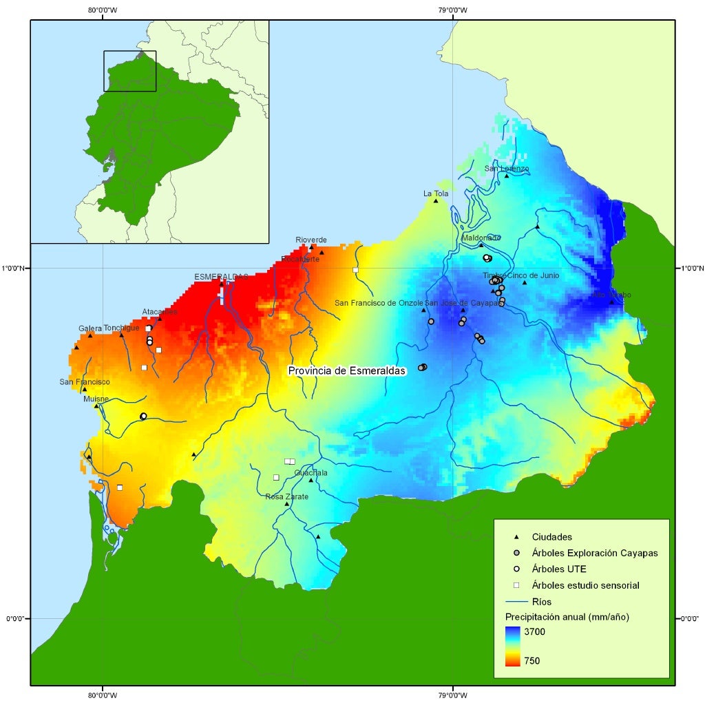 Mapa de arboles identificados Esmeraldas