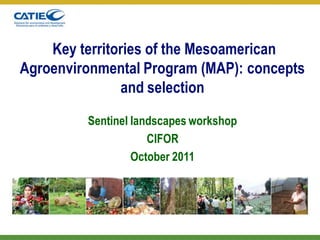 Key territories of the Mesoamerican
Agroenvironmental Program (MAP): concepts
               and selection

         Sentinel landscapes workshop
                     CIFOR
                  October 2011
 