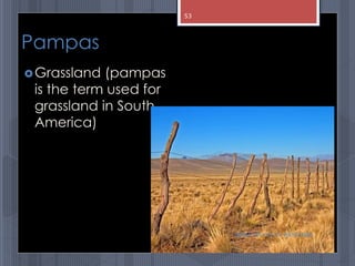 Pampas
Grassland (pampas
is the term used for
grassland in South
America)
abdul shumz kv kanjikode
53
 