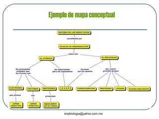 Ejemplo de mapa conceptual 