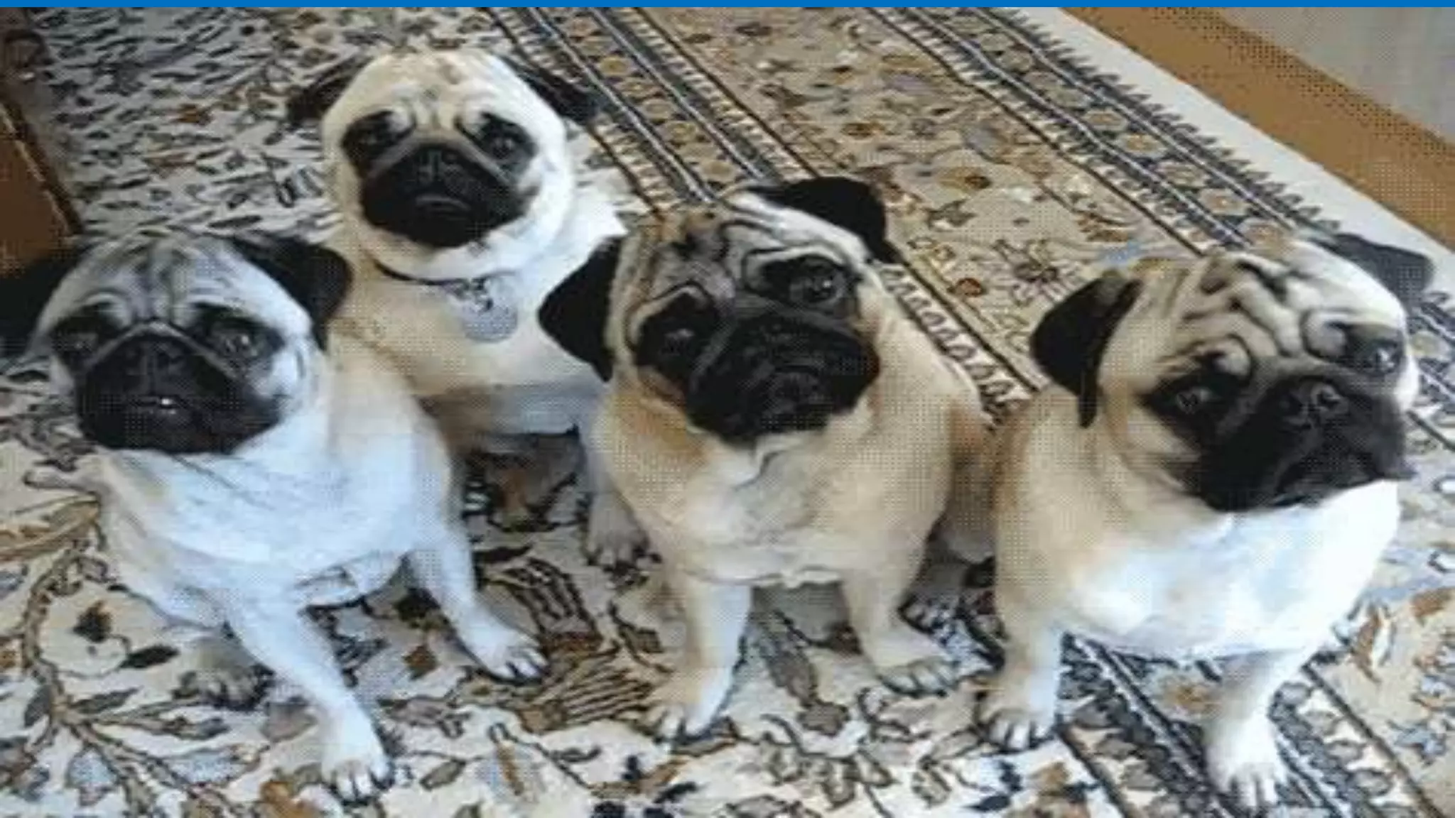 CLICK TO EDIT MASTER TITLE
Click to edit Master subtitle style
 