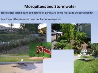 Mosquitoesand Stormwater
Stormwatercatch basins and detention ponds are prime mosquitobreeding habitat
Low Impact Development does not harbor mosquitoes
 