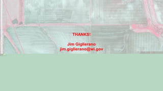 THANKS!
Jim Giglierano
jim.giglierano@wi.gov
 