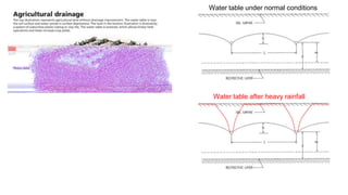 Water table under normal conditions
Water table after heavy rainfall
 