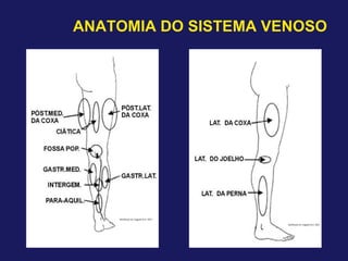 ANATOMIA DO SISTEMA VENOSO
 