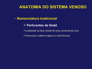 ANATOMIA DO SISTEMA VENOSO
– Nomenclatura tradicional
 Perfurantes de Dodd
Localizada na face medial do terço proximal da coxa
Comunica a safena magna e a veia femoral
 