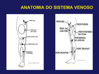 ANATOMIA DO SISTEMA VENOSO
 