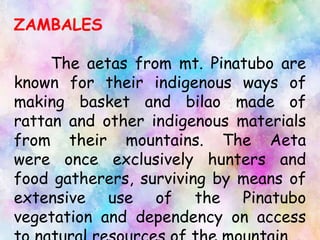 ZAMBALES
The aetas from mt. Pinatubo are
known for their indigenous ways of
making basket and bilao made of
rattan and other indigenous materials
from their mountains. The Aeta
were once exclusively hunters and
food gatherers, surviving by means of
extensive use of the Pinatubo
vegetation and dependency on access
 