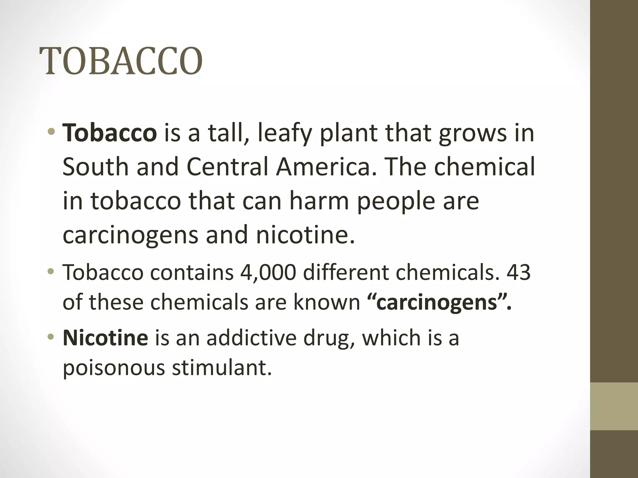 is tobacco a food crop Tobacco Farming
